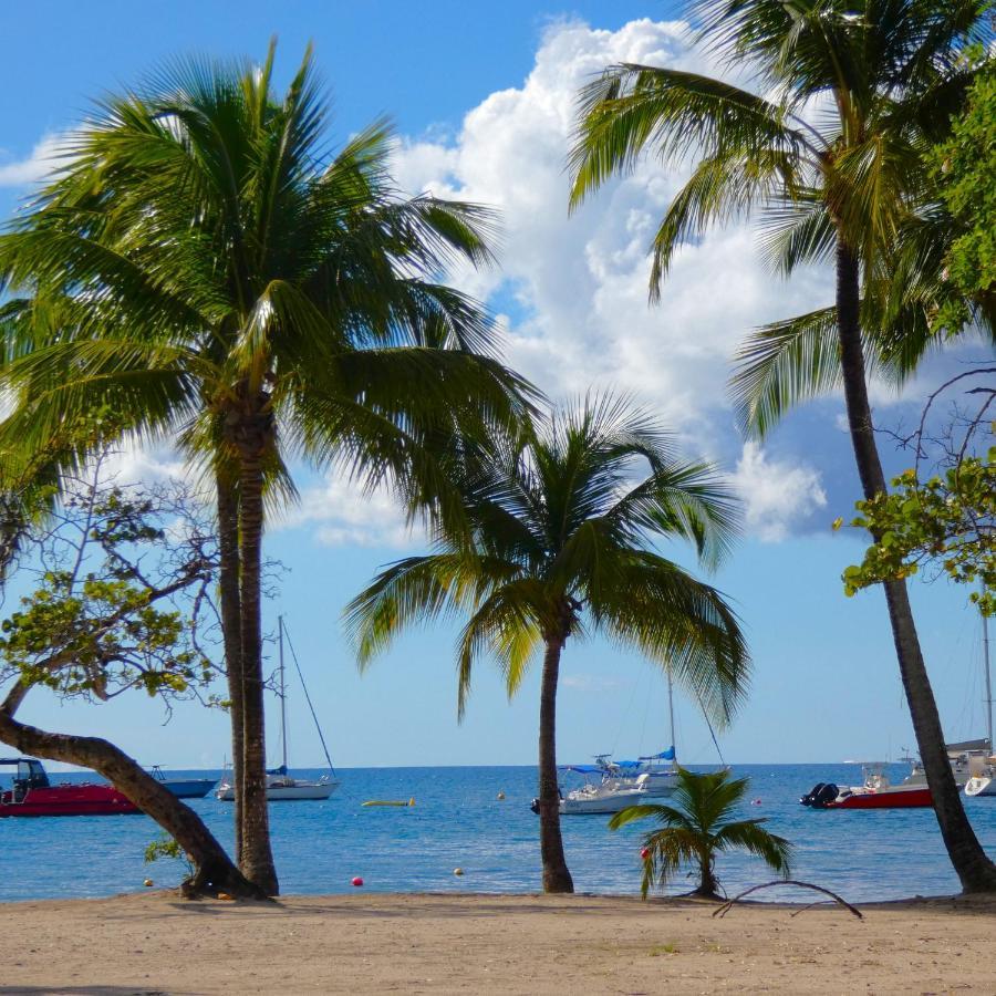 La Plage - Mer Des Caraibes A 30M Les Trois-Ilets Eksteriør bilde